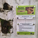 Jataí Bee Biodiversity Information Board